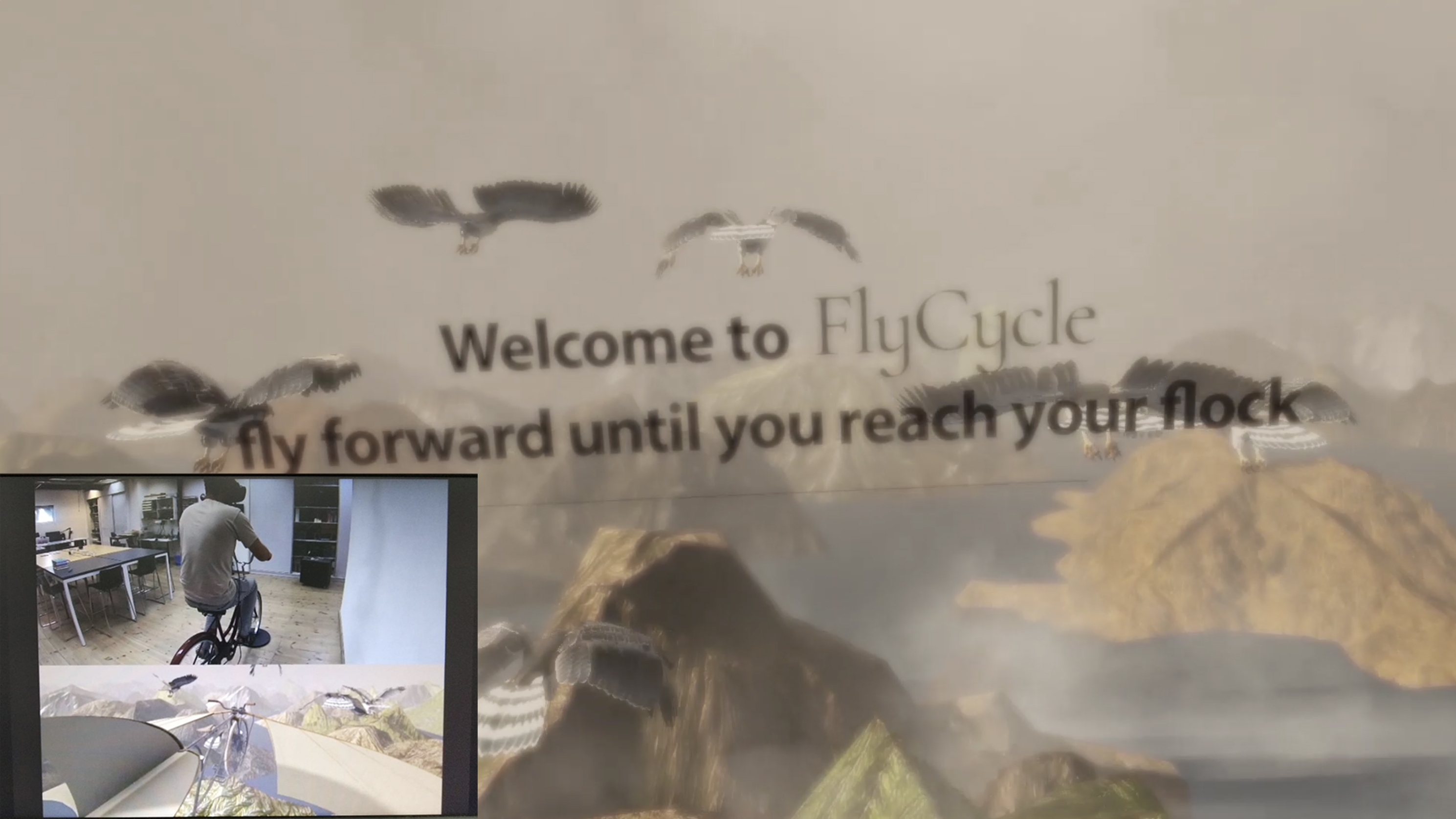 images/Fly-cycle/intro.jpg